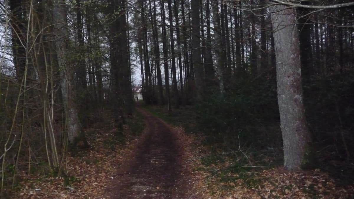 Caminho de Santiago entre Roncesvalles e Burguete