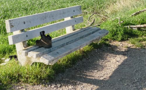 A foto mostra um banco em um gramado com uma bota abandonada sobre ele.