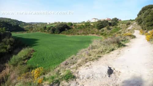 Pouco antes de Lorca, no Caminho de Santiago