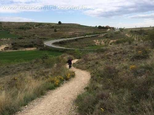 Entre Torres del Rio e Viana, com a Ermita de la Virgen del Poyo ao fundo, na parte superior direita da foto.