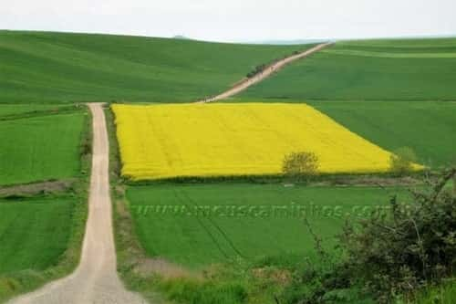 Linda vista das últimas subidas antes de Santo Domingo de la Calzada, passando pelos campos cultivados.