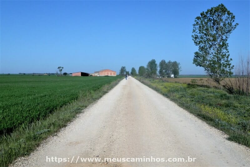 Caminho próximo à área de descanso entre Terradillo de los Templarios e Calzadilla de la Cueza