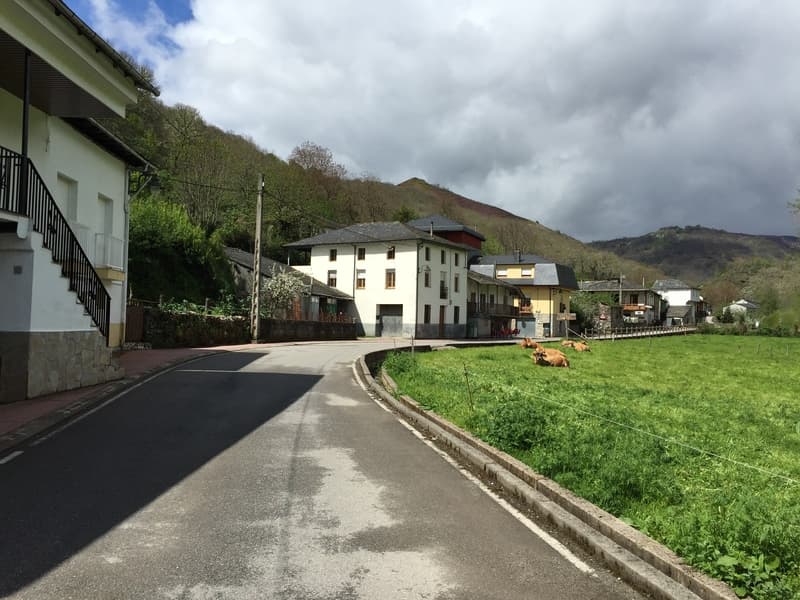 Hospital a Las Herrerias - Galicia