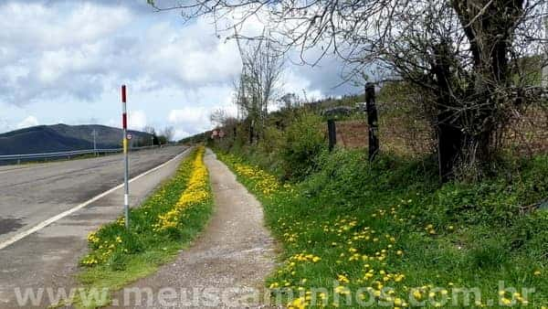 oto que mostra a rodovia e a trilha ao lado dela, por onde os peregrinos devem caminhar.