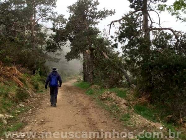 Foto de uma peregrina caminhando na subida após O Cebreiro, no Caminho de Santiago. O piso é de terra batida e tem árvores nos dois lados da trilha.