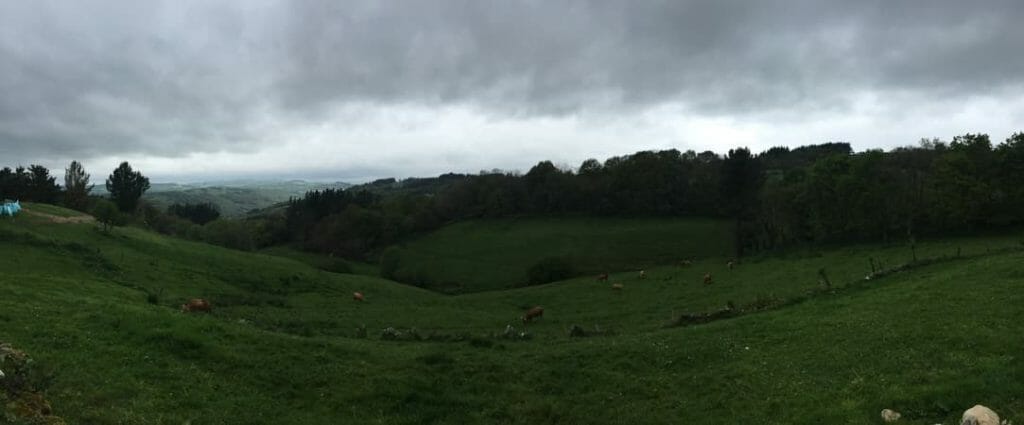 foto de uma bela vista com muito verde, um pouco depois de Morgade, no Caminho de Santiago