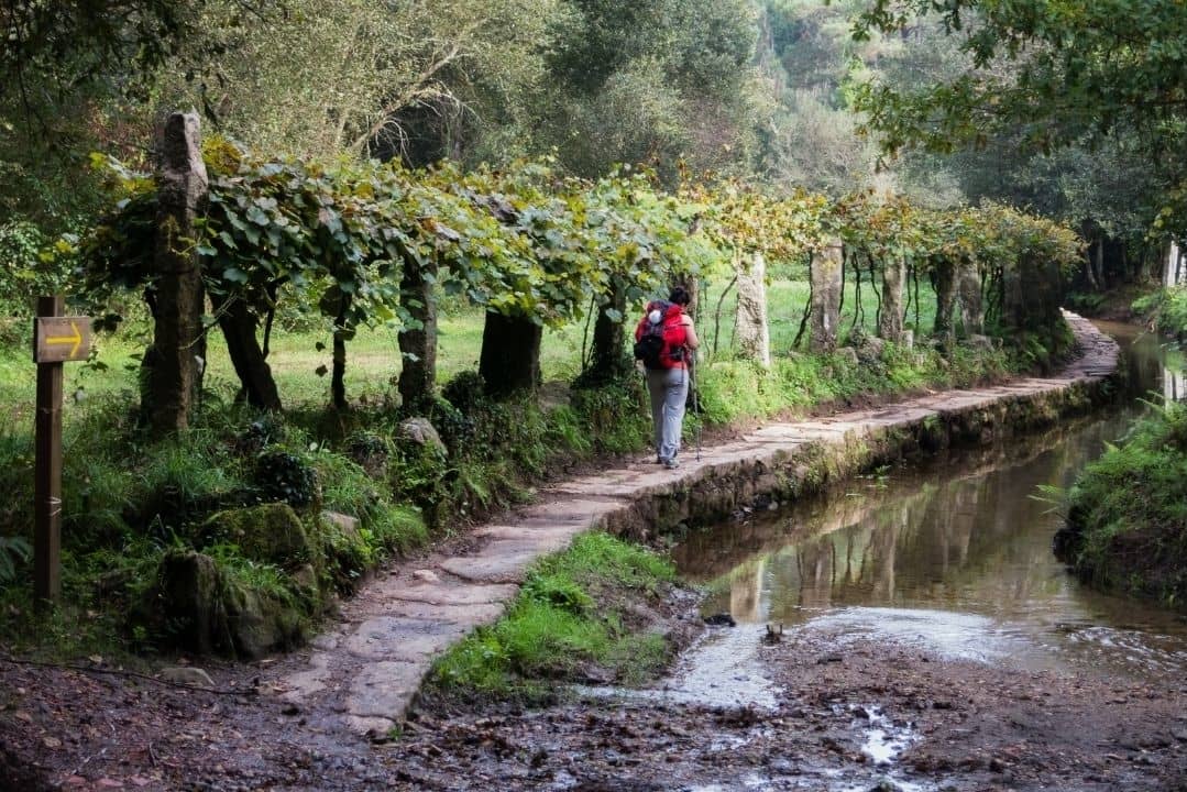 Caminho de Santiago em Portugal